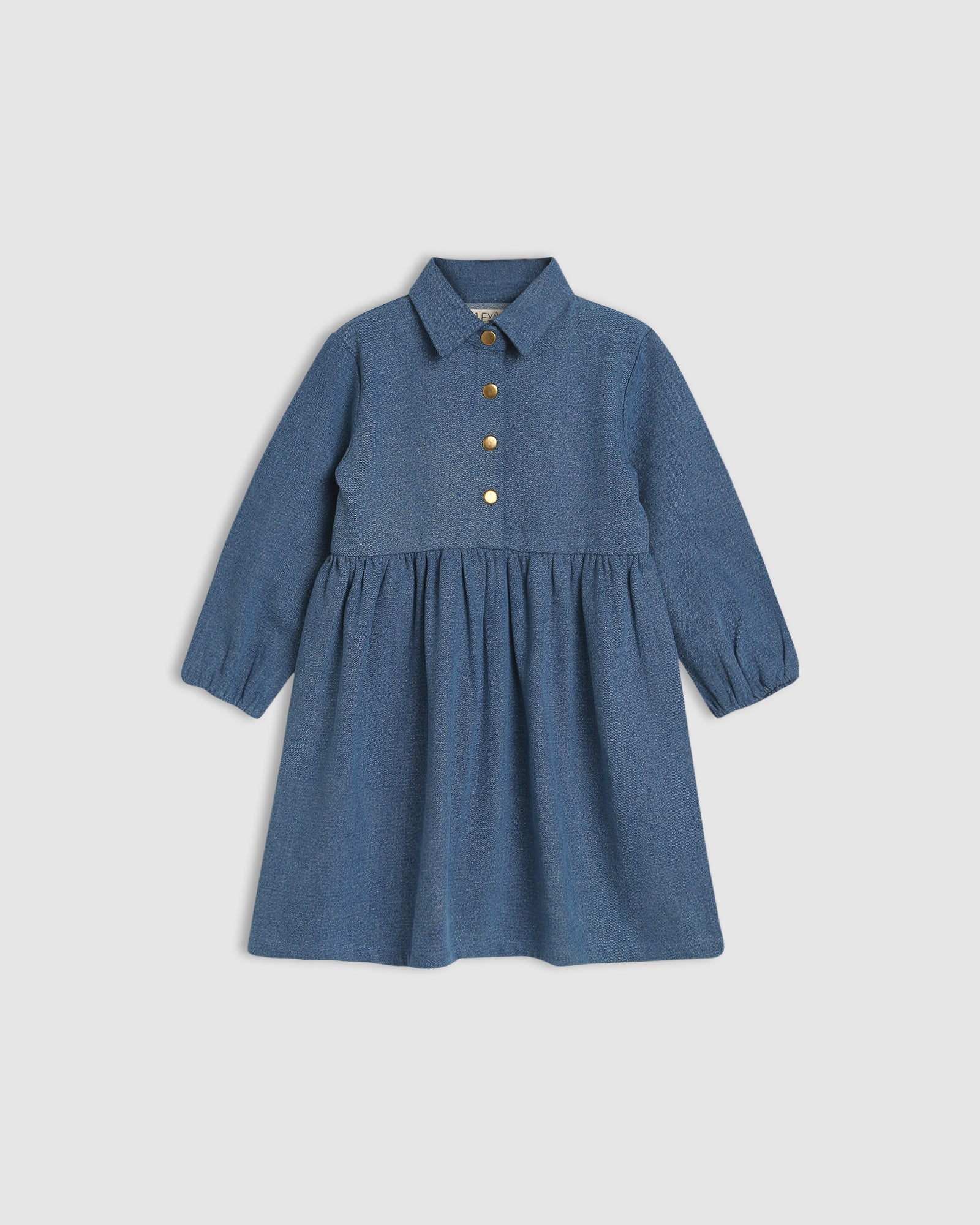 Aria Dress Denim ALEX ANT